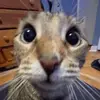 jackharrold99 - @jackharrold99 - TikTok