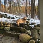Jack Haveman - @the_rockmanjack - Instagram