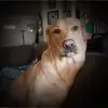 Jackie Hazen - @jackiehazen - TikTok