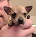 Jackson Hazen - Facebook