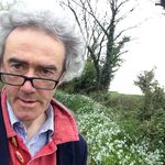 Jack Healy - @jackhealy4744 - Instagram