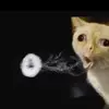 jack.healyyy - @jack.healyyy - TikTok