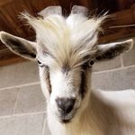 Jack heck - @heck4620 - Instagram