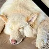 Jackie Heffron - @jackie.heffron - TikTok