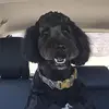 jack - @jackieheflinarchu - TikTok