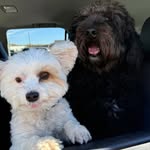 Jackie Heflin Archuleta - @rudyandjackiea - Instagram