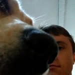 Jack Heinemann - @jackheinemann14 - Instagram
