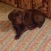 Jack Hellebusch - Facebook