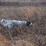 Jack Henneman - @jackhenneman - Instagram
