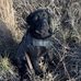 Jack Heinen - Facebook