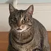 Jack henney - @1dollarswag - TikTok