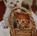 Jacky Hennig  - Facebook