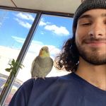 Jack - @jack_hensel - Instagram