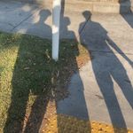 Jack - @jackhensel13 - Instagram