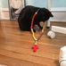 Jack Heffner - Facebook