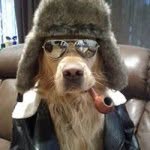 Jack Heppner Jr. - @heppie1949 - Instagram