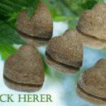 Jack Herer - @jackherer4201 - Instagram