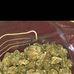 Jack Herer - Facebook