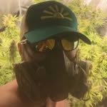 Jack Herer - @masterofterps - Instagram
