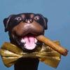 Jack Herer - @realjackherer - TikTok