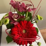 Jackie Hergott - Facebook