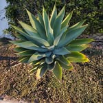 Jack Hessler - @jackhessler - Instagram