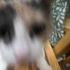 jack hickerson - @jack.hickerson - TikTok