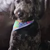 Jack Hicks - @jack.hicks04 - TikTok