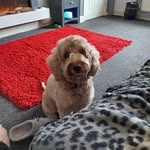 Jackie Highfield - @highfield_jackie - Instagram