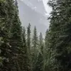 Jackie Hilker - @jackieh.53 - TikTok