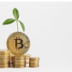 Jack Hilson - @jackhils_crypto_trade - Instagram