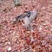 Jack Hinchman - Facebook