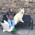 Jack Hinder - @jack.hinder.5 - Instagram