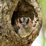 Jack Hinz Nature Photography - @jackhinznature - Instagram