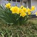 Jackie Hippen - Facebook