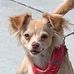 Jack Hirsh - Facebook