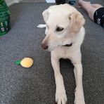 Jack Hislop - Facebook