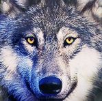Jack Hitsman - Facebook