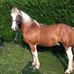 Jacky Hix - Facebook