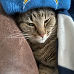 Jack Hoag - @jjisl.it - Instagram