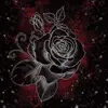 Jacky Hoagland - @jacky.hoagland - TikTok