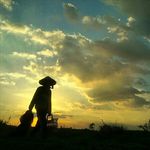 Jack Hoang - @jackhoang79 - Instagram