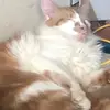 jackhoffer379 - @jackhoffer379 - TikTok