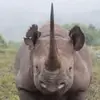 jackreinhoffer2 - @jack.reinhoffer - TikTok
