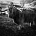 Jack Holcombe - Facebook
