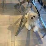 Jack Holdsworth - @jack_holdsworth584 - Instagram