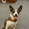 Jack Hollenback - @jack.hollenback - TikTok