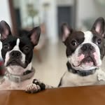 Jack & Holly - @somosjackyholly - Instagram