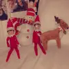 🤶🏼Jack, Holly, Eggnog🎅🏼 - @sqntas.helpers - TikTok