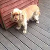 jack_holly - @jack_holly - TikTok